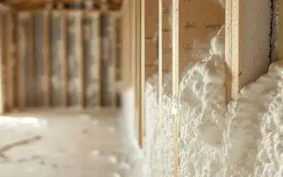 Termite Inspections and Spray Foam Insulation
