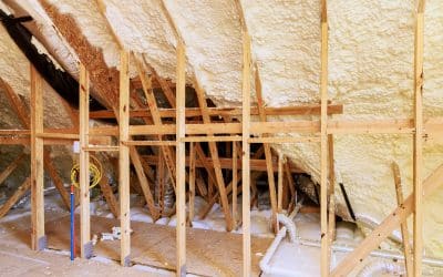 New York Senate Committee Advances R-30 UVA Bill